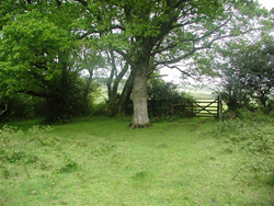 Higher Rixdale Farm - Countryside around the farm